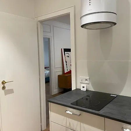 Appartement Luxueux Hyper Centre De Straßburg Exterior foto